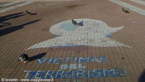 Pigeons walk over painted pavement reading Víctimas del Terrorismo