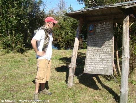 Tourist reading a wooden information panel on grass in the sun