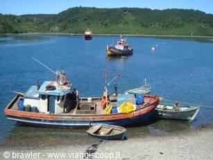 Wooden fishing boats beached on pebble shore, calm bay backed by green hills