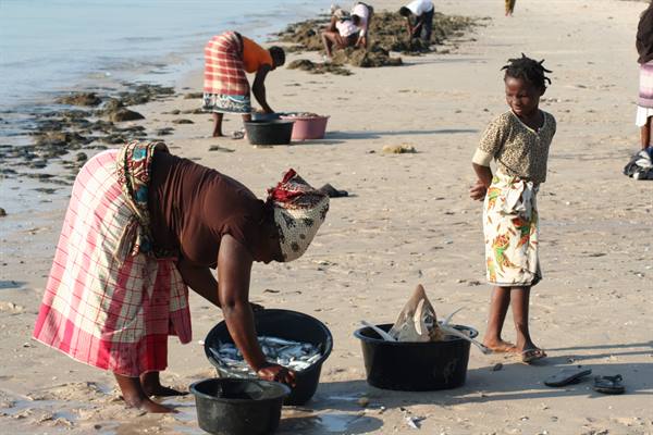 Women collect fish in black buckets on the beach, a girl in floral skirt watches