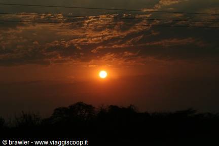 Low orange sun glowing among clouds above silhouetted trees