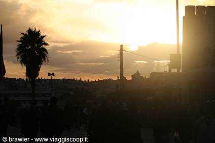 Palm tree and rooftops backlit at sunset, people walking along the street