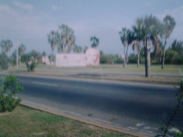 Paved road with palm trees and a red billboard under the blue sky