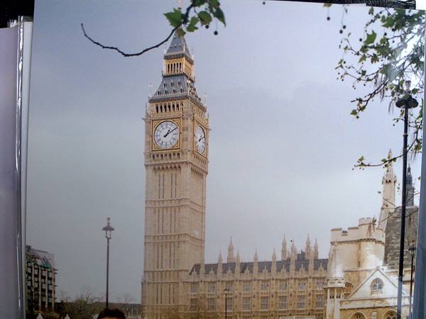 Big Ben clock tower and Parliament in London framed by branches