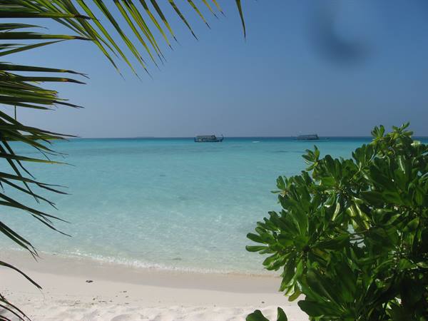 bungalow view