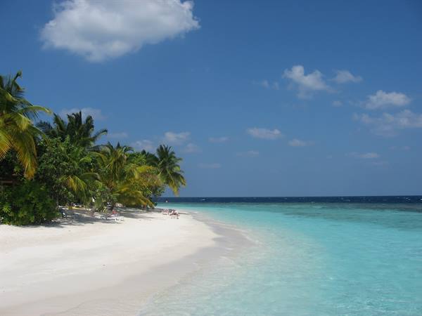 beach
