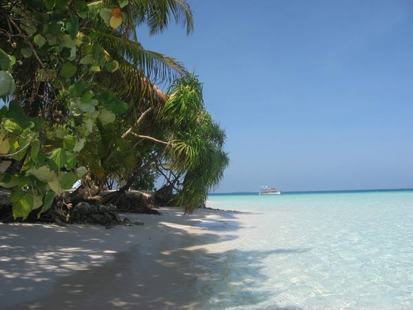 around the island...
