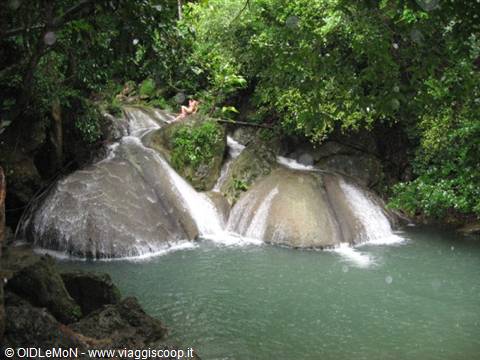 Waterfalls cascade over flat limestone rocks into green pools among trees