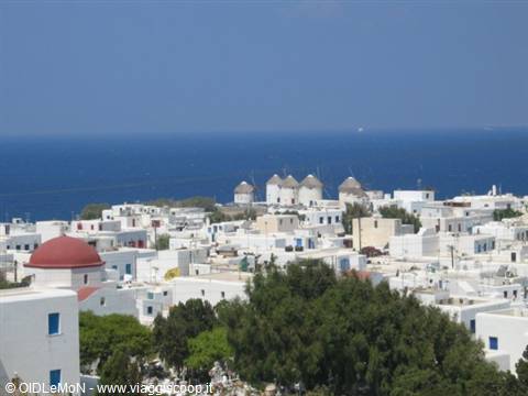 The white windmills of Mykonos above cube houses facing the sea