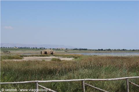 the marshes at Vendicari