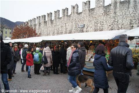 Trento