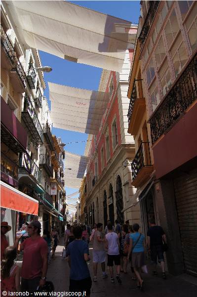 Calle Sierpe Seville