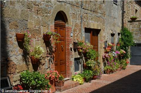 Sovana glimpse