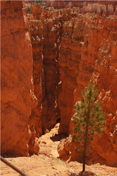 Bryce Canyon