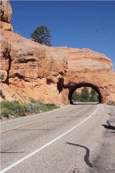 Strada Panoramica 12 verso Bryce