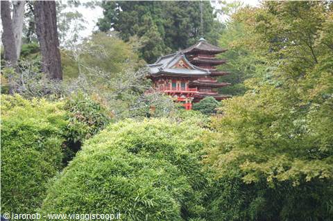 Japanese Tea Garden - Golden Gate Park
