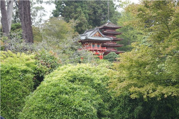 Japanese tea gardens -Golden gate park
