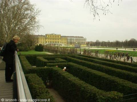 Maze in the Schoenbrunn gardens
