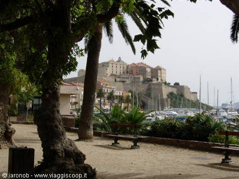 Calvi