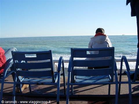 The blue chairs