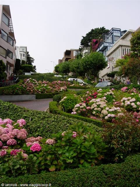 Lombard Street - San Francisco