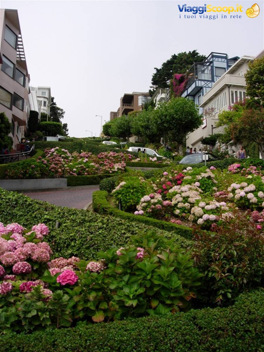 Lombard Street - San Francisco