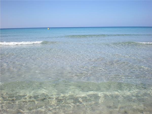 The sea of Son Bou