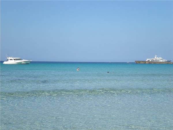 Swim in Son Bou
