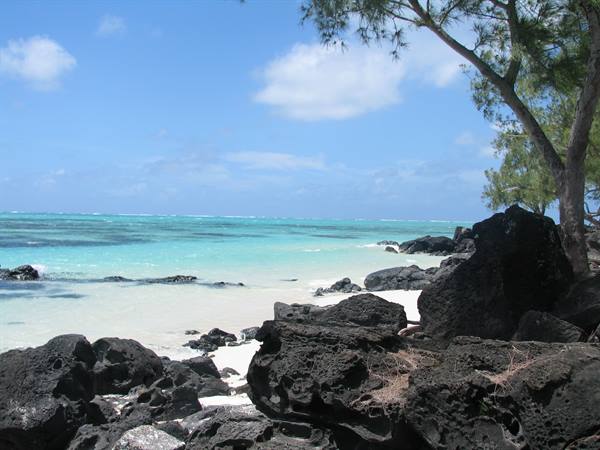 Black lava rocks on white sand, turquoise water, leaning trees under cloudy sky