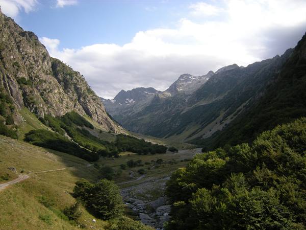 Mountain valley with grassy path, green trees and rocky peaks among clouds