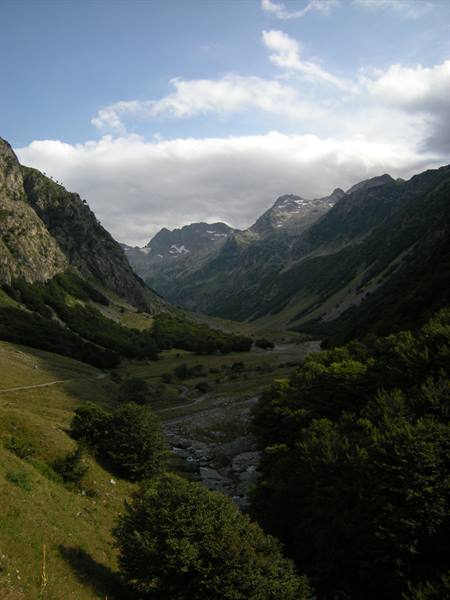 Grassy valley with stream and rocky peaks under clouds