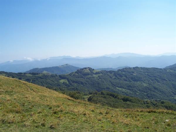 Grassy hillside meadow, green forests and hazy mountain ridges under blue sky