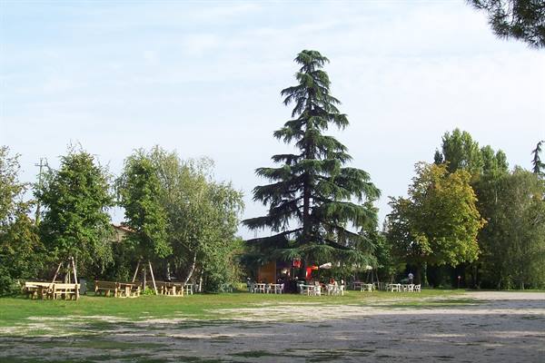 Dirt parking area in front of a snack bar with tables and tall cedar
