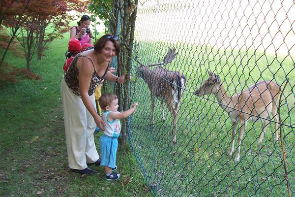 Toddler with mom touches the fence next to two deer in a grassy enclosure