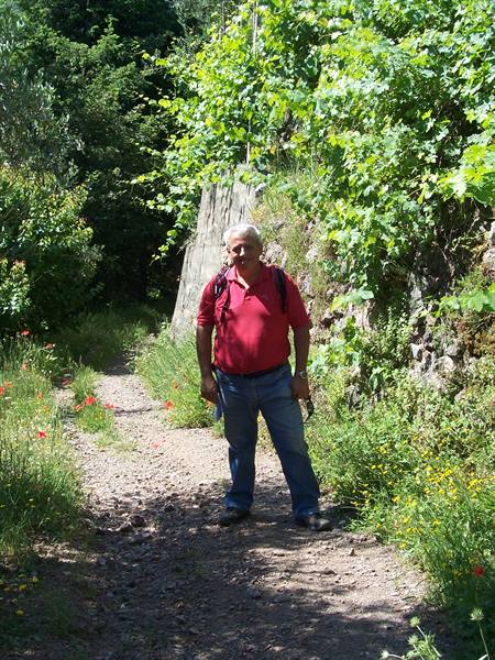 Man in red shirt with backpack on dirt trail between rock and greenery