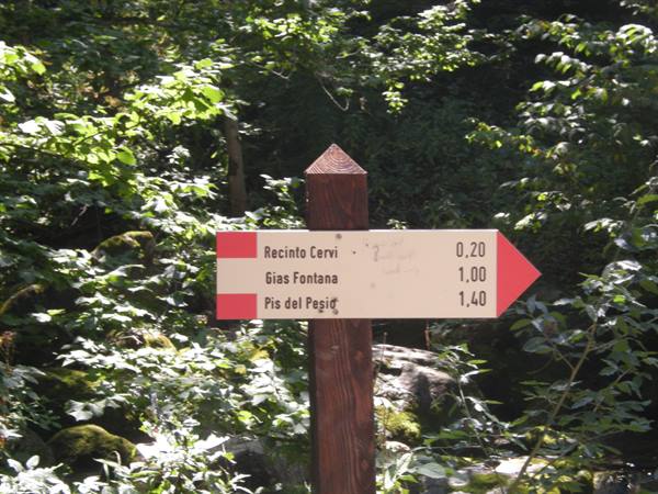Wooden trail sign among greenery points to Recinto Cervi, Gias Fontana and Piss del Pesio