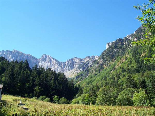 Fanes Dolomites: grey rock walls above green spruce forests and sunny meadows