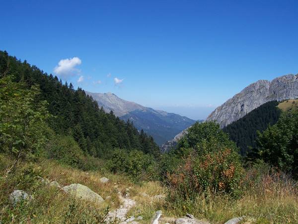 Grassy trail among rocks and firs leading toward mountain valleys under blue sky