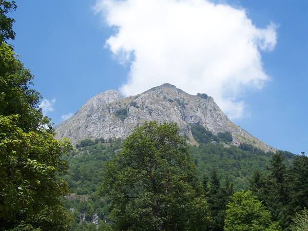Rocky peak rising above green forest under white clouds and blue sky