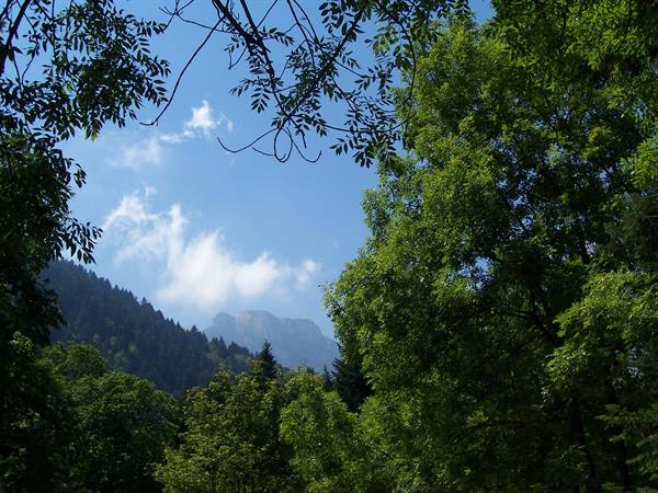 Green tree canopies frame a rocky peak and blue sky with clouds