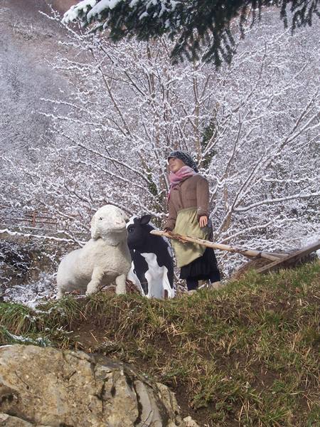 Shepherdess statue with sheep and cow among snow-covered trees, outdoor nativity scene