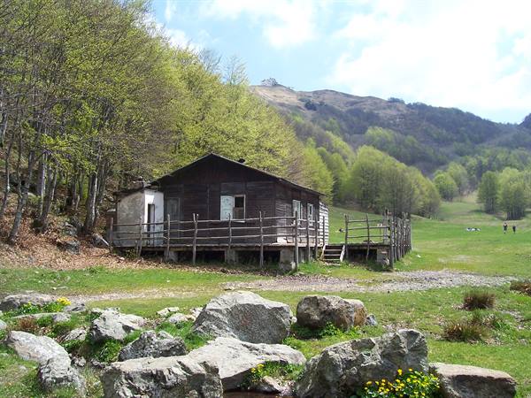 Wooden stilt hut among rocks and yellow flowers, green woods and mountains