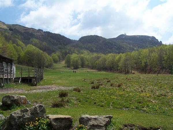 Wooden hut and fence on green meadow, yellow flowers, woods and cloudy mountains