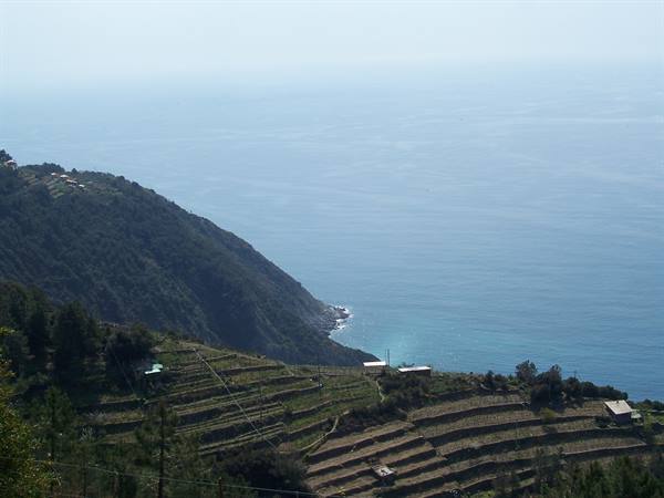 Cultivated terraces slope down to turquoise sea under haze