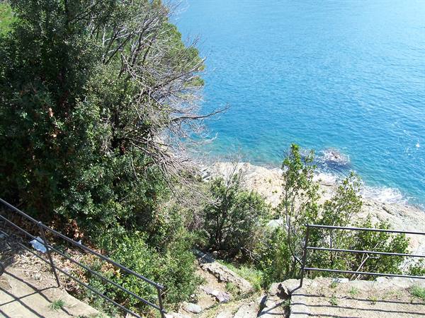 Stone steps with iron railing through trees down to turquoise sea and rocks