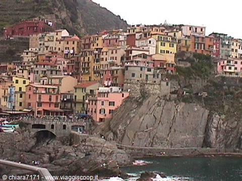 Colorful houses of Manarola clinging to the cliff above the sea, soft light