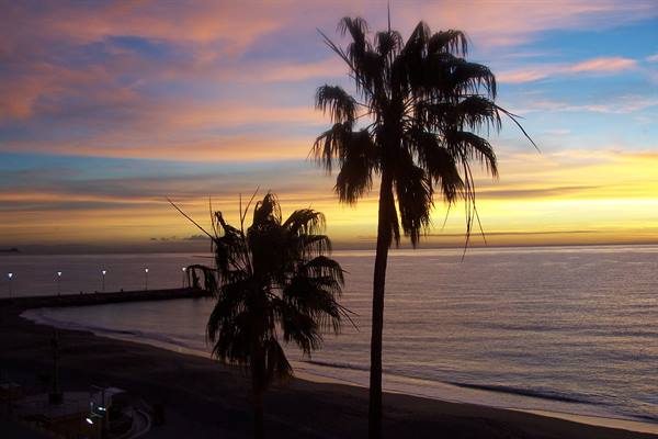 Palm silhouettes on empty beach, lit pier and calm sea at dawn