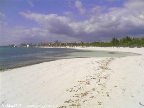 White sand beach with seaweed, turquoise water, bungalows and palms under clouds