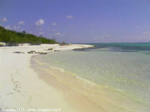 White sand beach with turquoise water and green vegetation along the shore