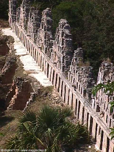 Mayan stone ruins with ornate roofcomb, jungle and palm trees at Uxmal